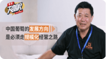 中国通常的发展方向 是必须走规模；；；；；；；