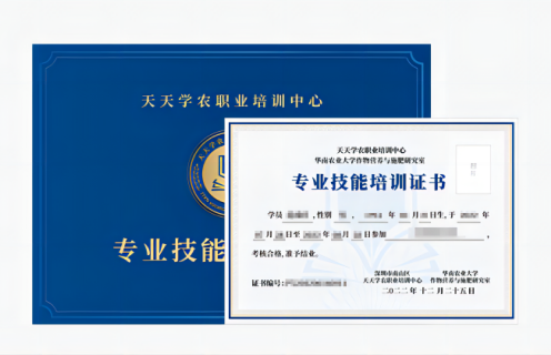Z6尊龙时凯专业技术培训证书