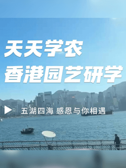 与香港园艺学会结合进行香港园艺研学，，，，，专业园境师带队解说。。。。。。。。